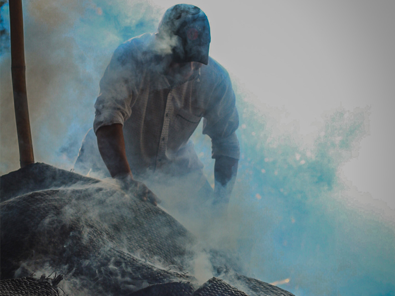 Servicios de gestión para el trámite de visas americanas, pasaportes mexicanos y americanos